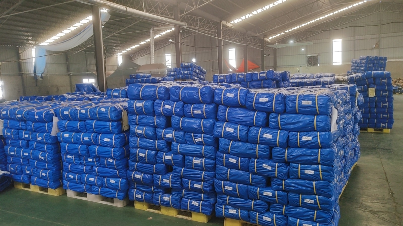 Bache - Vue détaillée 1