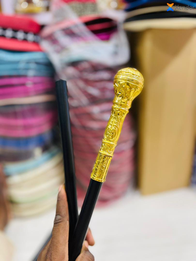 Iba Haidara - Vue détaillée 3