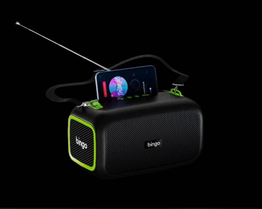 BINGO - Vue détaillée 1