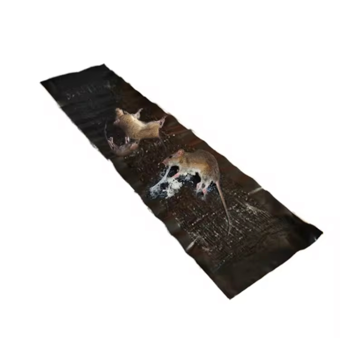 Colle à souris - Vue détaillée 1