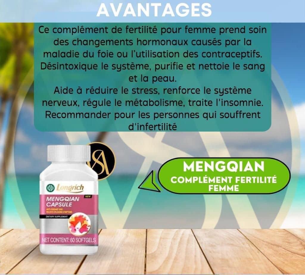 MENGQIAN - Vue détaillée 1