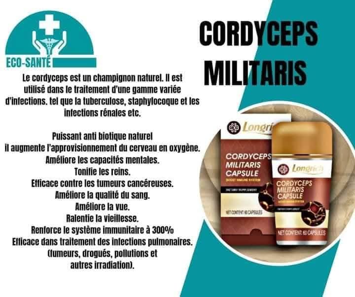 Cordyceps Militaire de Longrich - Vue détaillée 1