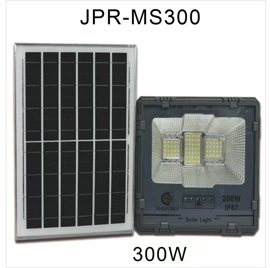 Lapandeur - Vue détaillée 1