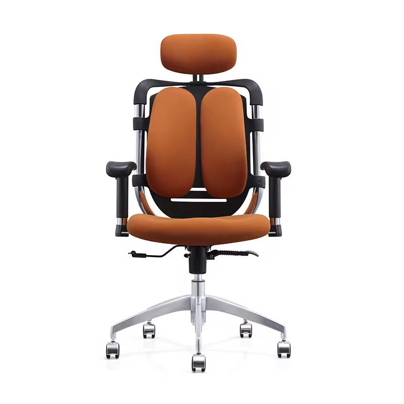 Fauteuil de Bureau Ergonomique de Luxe avec Soutien Lombaire Dynamique et Appui-tête Réglable - Vue détaillée 2