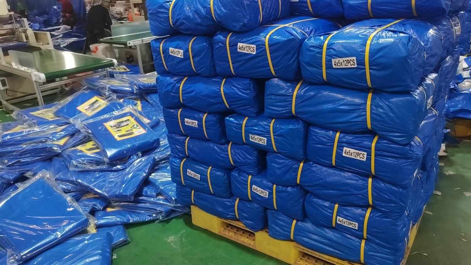 Bache - Vue détaillée 1