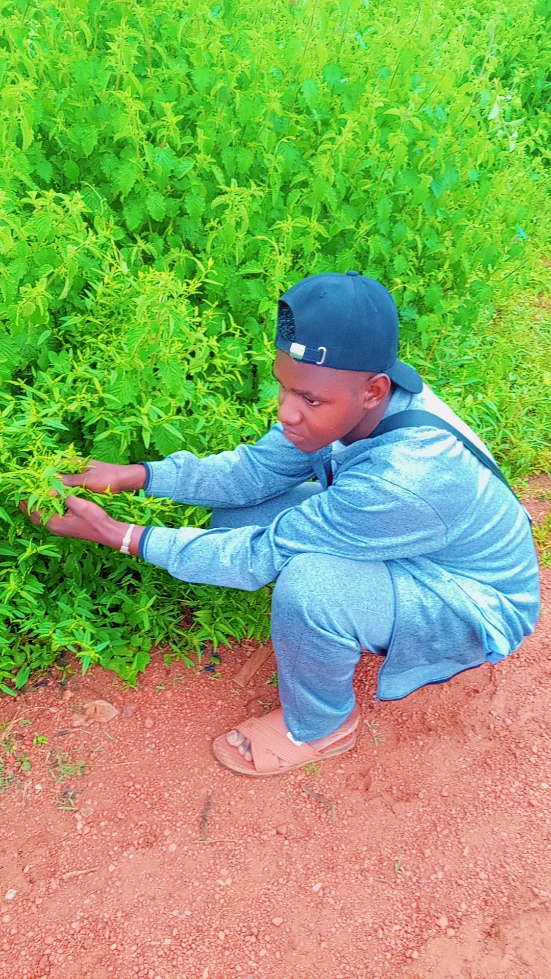 Logo de VENTE en LIGNE (Fassoum)