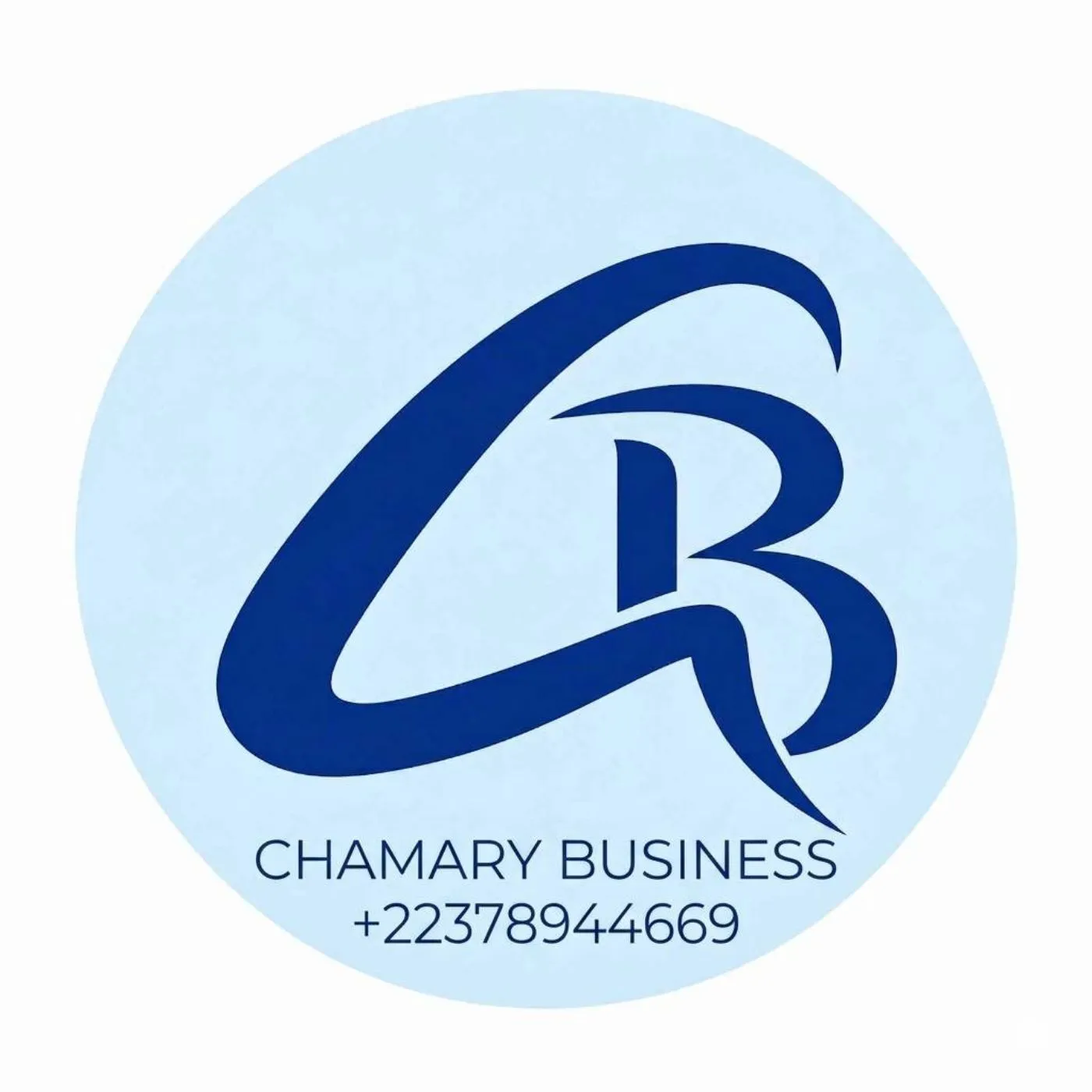 Logo officiel de la boutique CHAMARY BUSINESS 